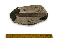 F 07356
<br/>
<br/>
<em></em>